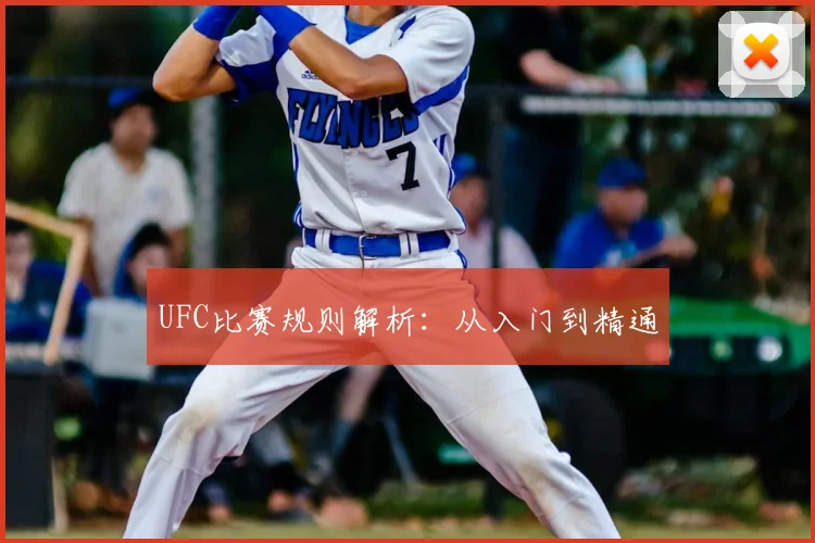 UFC比赛规则解析：从入门到精通
