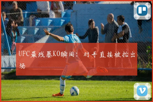 UFC最残暴KO瞬间：对手直接被抬出场