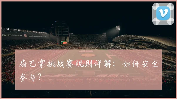 扇巴掌挑战赛规则详解:如何安全参与?