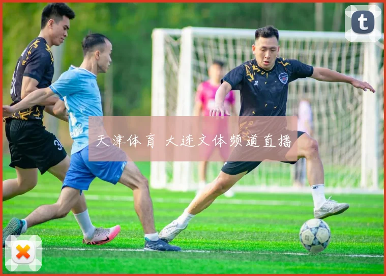 天津体育 大连文体频道直播