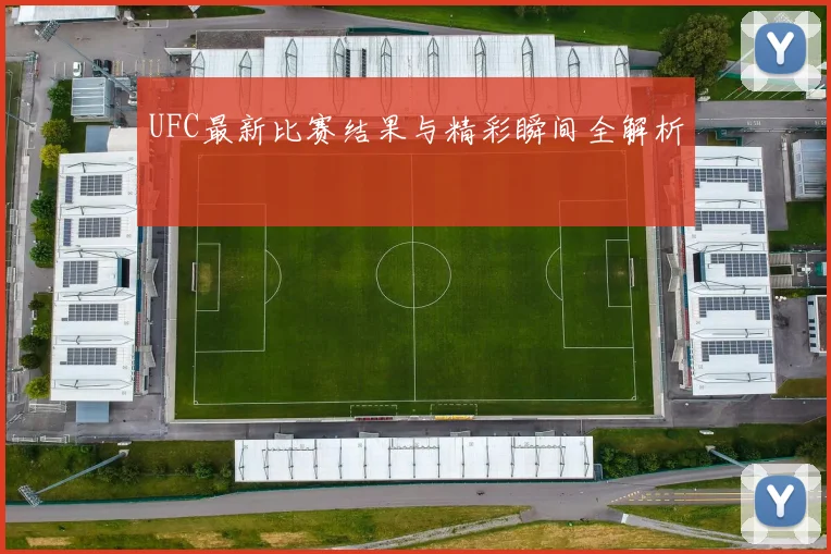 UFC最新比赛结果与精彩瞬间全解析