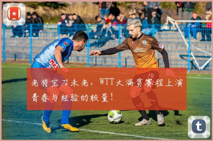 老将宝刀未老,WTT大满贯赛程上演青春与经验的较量!