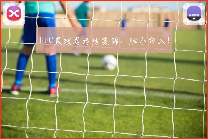 UFC最残忍终结集锦,胆小勿入!