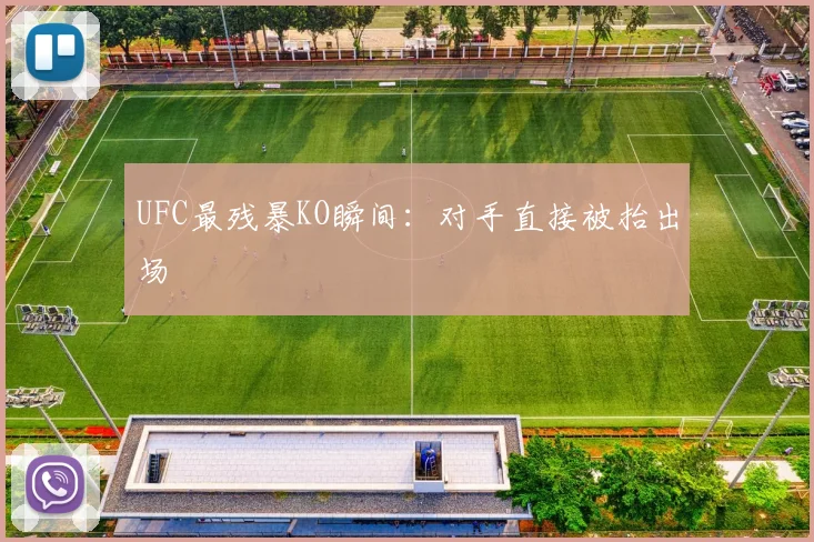 UFC最残暴KO瞬间：对手直接被抬出场