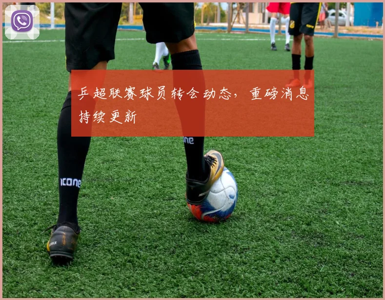 乒超联赛球员转会动态,重磅消息持续更新