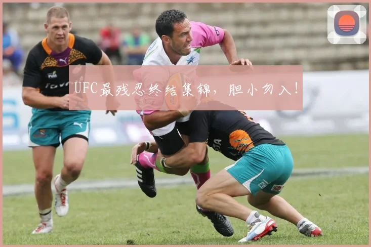 UFC最残忍终结集锦,胆小勿入!