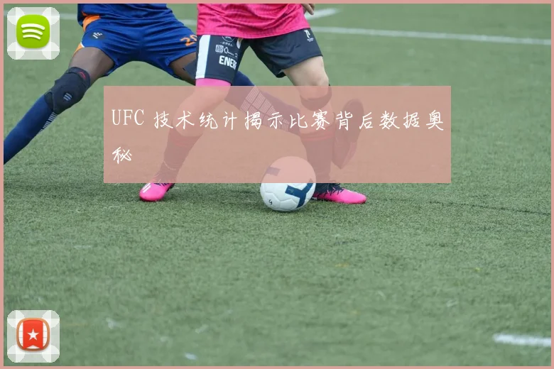 UFC 技术统计揭示比赛背后数据奥秘